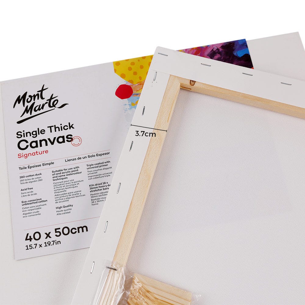 Single Thick Canvas Signature 40 x 50cm (15.7 x 19.7in) - Image 4